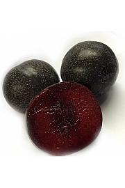 Prunus domestica Super Nova C5 Lit. 60-80 cm Na stabljici