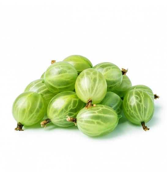 Ribes uva-crispa Tatjana C2 Lit. 30-40 cm