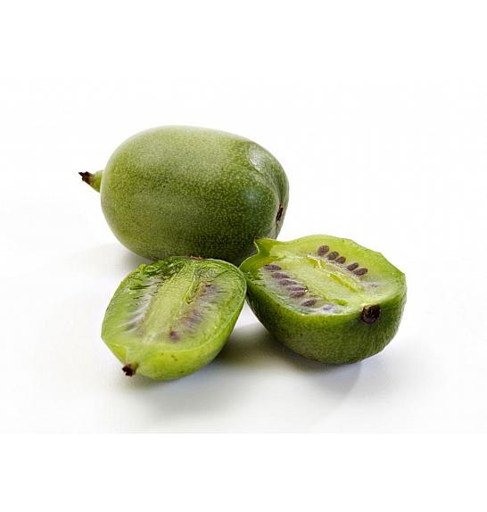 Actinidia arguta Nostino C2 Lit. 30-40 cm