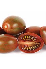 Rajčica CE Tigrotto F1 Ø13