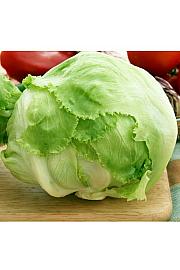 Solata Brasiliana Novice Kultipak 72/9