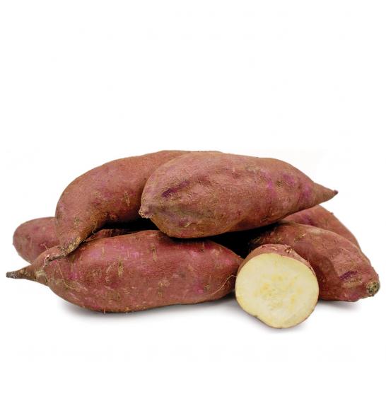 Sladki krompir Ipomoea batatas Murasaki Ø10,5