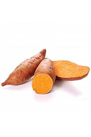 Sladki krompir Ipomoea batatas Beauregard Ø10,5