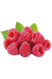 Rubus idaeus Glen Ample C2 Lit. 40-60 cm