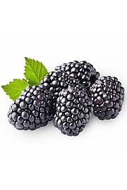 Rubus fruticosus Triple Crown C2 Lit. 30-40 cm