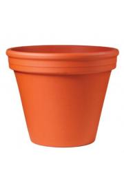 Lonec BLT Natur; 001-001-36; Ø40H32