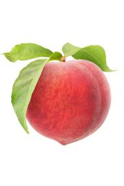 Prunus persica Bonanza C5 Lit. 60-80 cm Na steblu