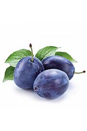 Prunus domestica Imperial C5 Lit. 60-80 cm Stupolik