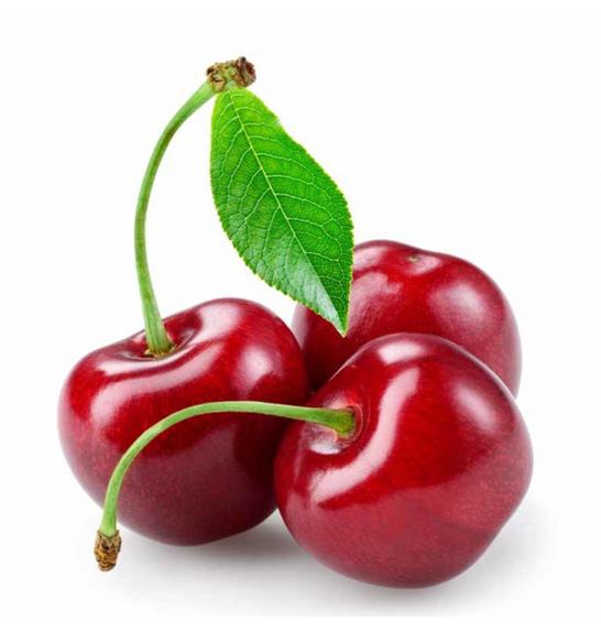 Prunus avium Stella Compact C5 Lit. 60-80 cm Na steblu