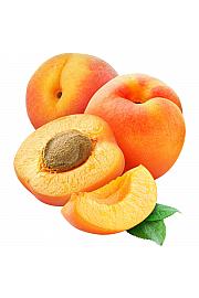 Prunus armeniaca Orange Beauty C5 Lit. 60-80 cm Na stabljici