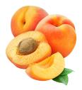 Prunus armeniaca Orange Beauty C5 Lit. 60-80 cm Na steblu