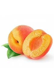 Prunus armeniaca Bergeron C7,5 Lit. 175-200 cm Na steblu 100 cm