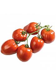 Rajčica Fleurette F1 Ø10.5