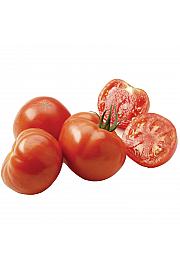 Rajčica CE Maestria F1 Ø13