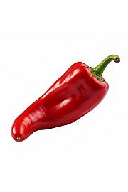 Paprika s neba crvena Ø10.5