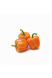 Paprika Orange Sunset Ø10,5