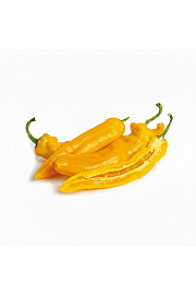 Paprika Honey Long (yellow) Ø10,5