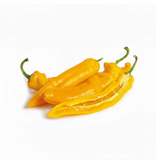 Paprika Honey Long (yellow) Ø10,5