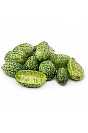 Melothia scabra Solana meksički krastavac Ø10,5