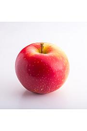 Malus domestica Waltz C5 Lit. 50-60 cm Stebričasta