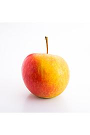 Malus domestica Elstar C5 Lit. 80-100 cm