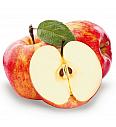 Malus domestica Cox Orange Pippin C7,5 Lit. 125-150 cm