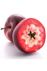 Malus domestica Vampira C10 Lit. 125-150 cm