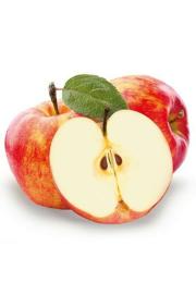 Malus domestica Cox Orange Renette C5 Lit. 80-100 cm