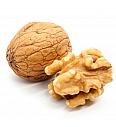 Juglans regia Buccaneer C5 Lit. 80-100 cm (35457)