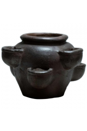 Jagodnjak Kamnit;D43H31;5141455