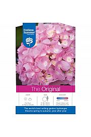 Hydrangea macrophylla The Original Pink C10 Lit. 25-35 cm