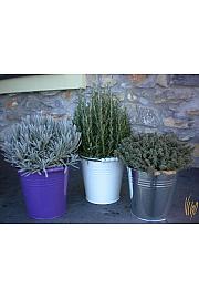 Dišavnice Ø18 mix barvni kovinski lonček