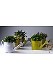 Dišavnice Ø14 mix zalivalka