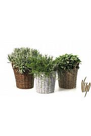 Dišavnice Ø14 mix leseni pleteni lonček