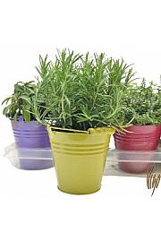 Dišavnice Ø14 mix dekor lonček