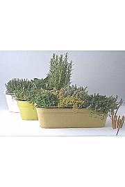 Dišavnice mix 40 cm kovinsko korito