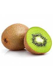 Actinidia deliciosa Hayward C2 Lit. 30-40 cm