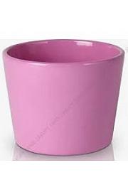 POSUDA ZT7200 12 CM RUŽIČASTA 221-120-103-227-1-PT1 D 12 cm, V 9,5 cm