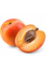 Prunus armeniaca Golden Sun C5 Lit. 60-80 cm Stupolik